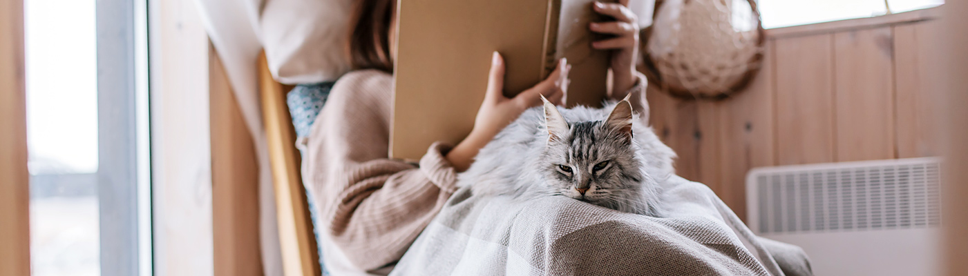 Warm Home