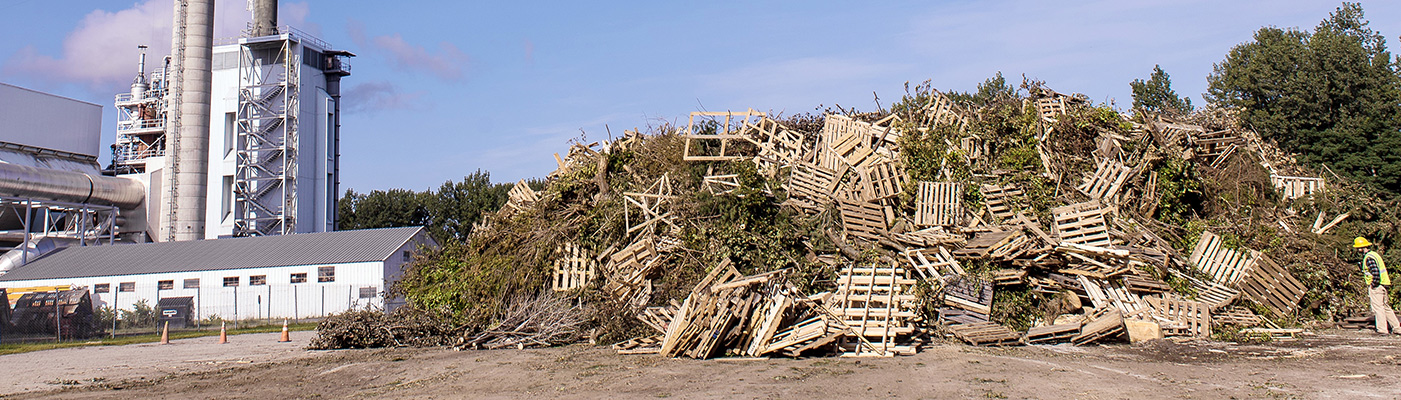 Waste Wood Yard